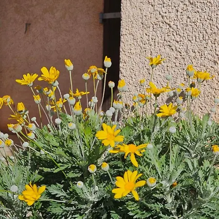 Lejlighed Li Cabanoun, Au Soleil Issambres à 3min De La à Pied *