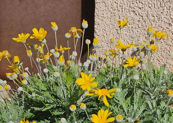 Li Cabanoun, Au Soleil Issambres A 3min De La A Pied Apartman